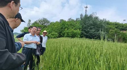 4e4ee195b5ba505204cef34233547e7