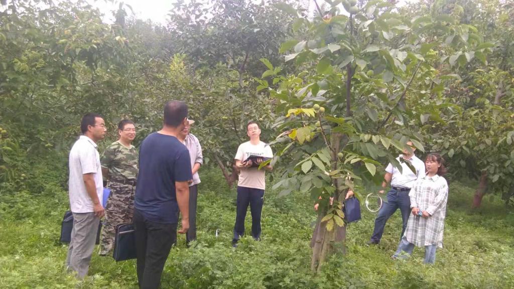 mmexport1572506883199