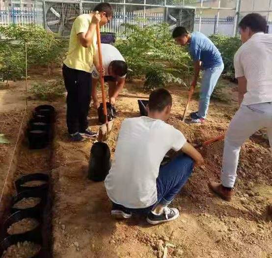 mmexport1572506646135